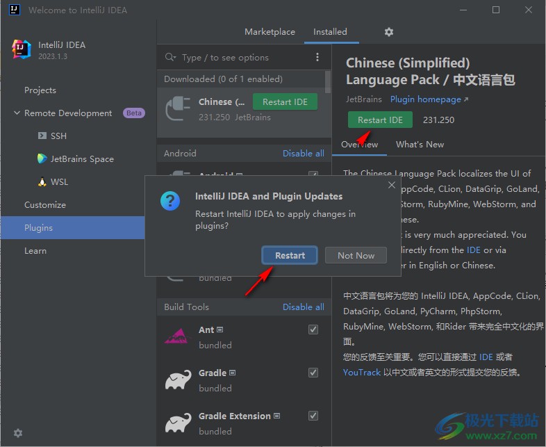 IntelliJ IDEA 2023破解版