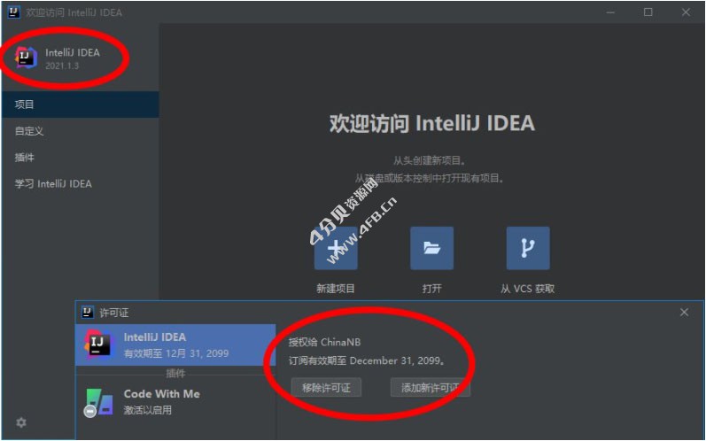 IntelliJ IDEA 2024.1.0 Ultimate 永久激活版