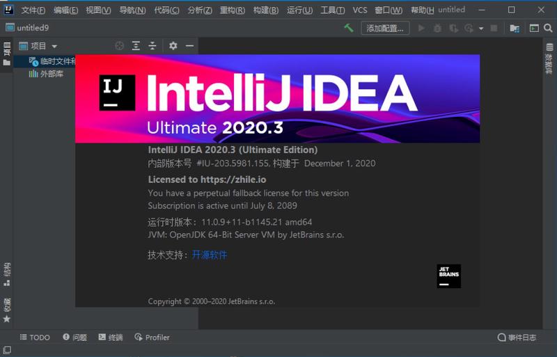 IntelliJ IDEA2021.2.2 IDEA2020.3破解版