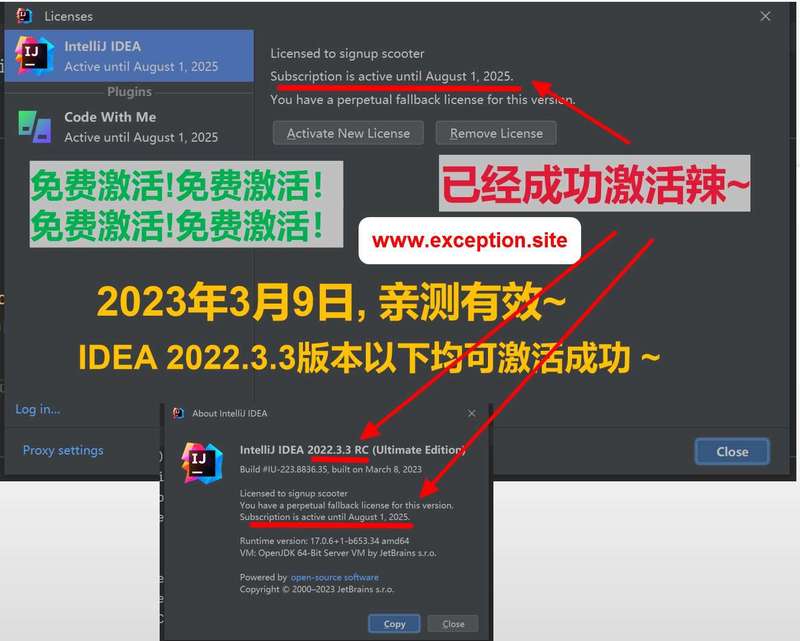 IDEA 2022.3.3 成功破解激活截图