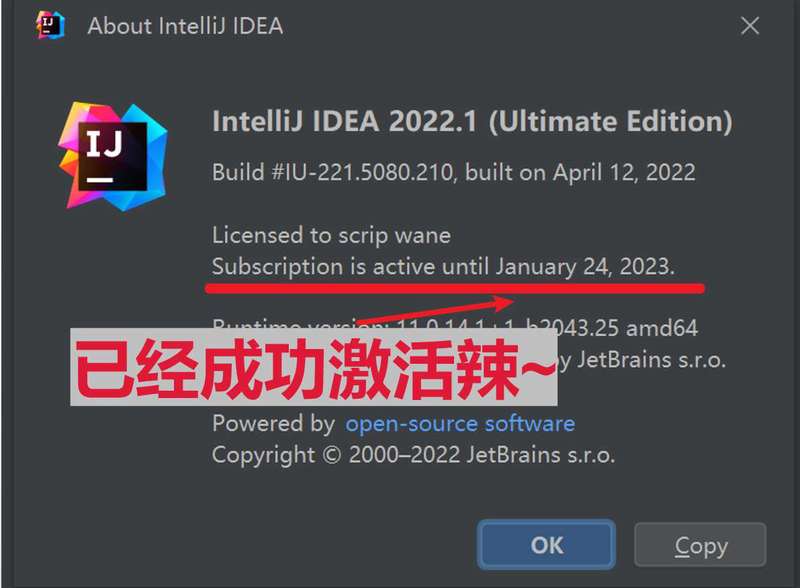 IDEA 2022.1 成功激活至2099年截图2