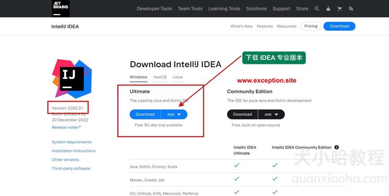 下载 IDEA 2022.3.1 安装包