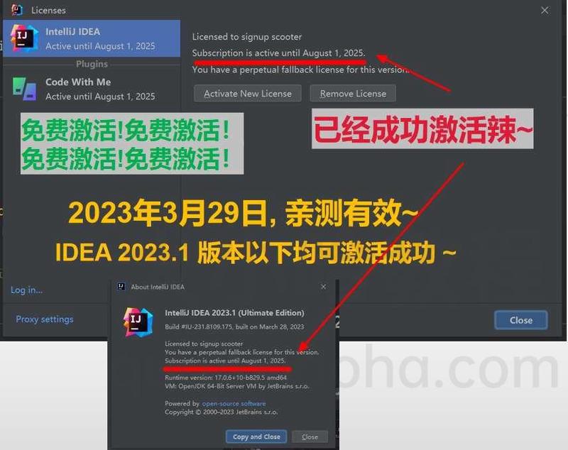 IDEA 2023.1 成功破解激活截图