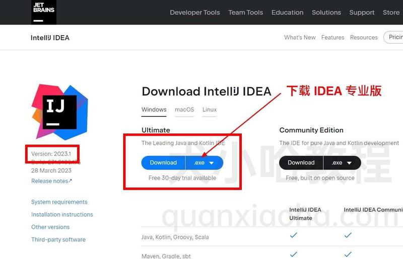 下载 IDEA 2023.1 安装包