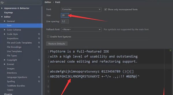 phpstorm2021.3永久激活版 附安装教程(图21)