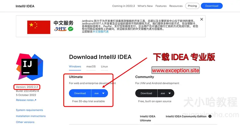 IDEA 2022.2.3版本官网下载