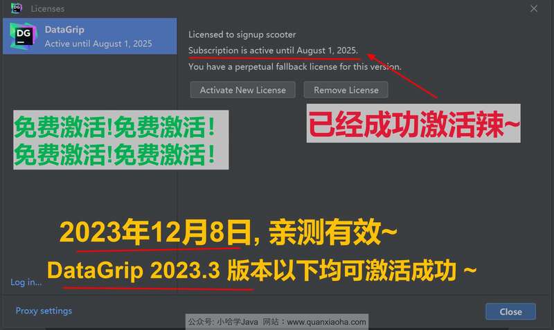 Datagrip 2023.3 版本启动界面