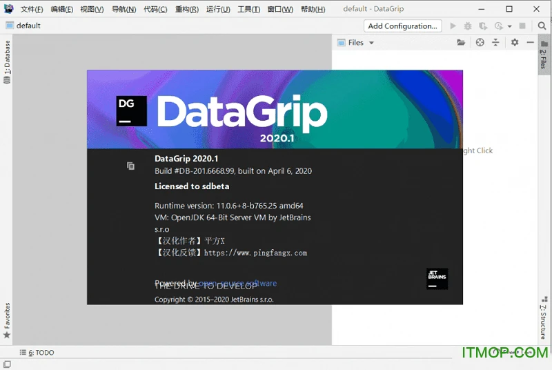 DataGrip 2020激活汉化版