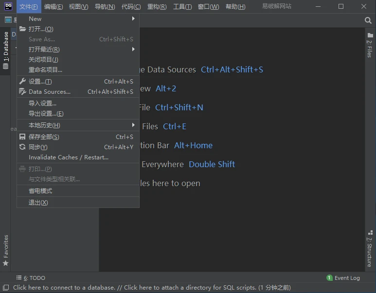 JetBrains DataGrip