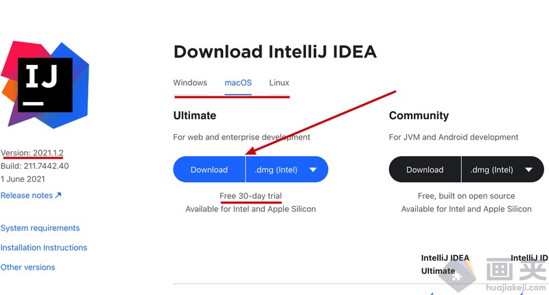  IntelliJ IDEA 2021.1.2下载