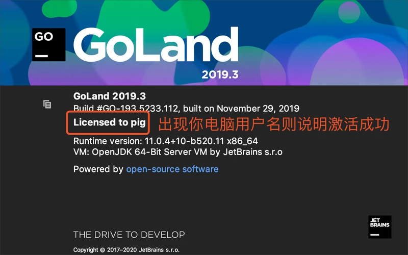 GoLand 2020永久激活