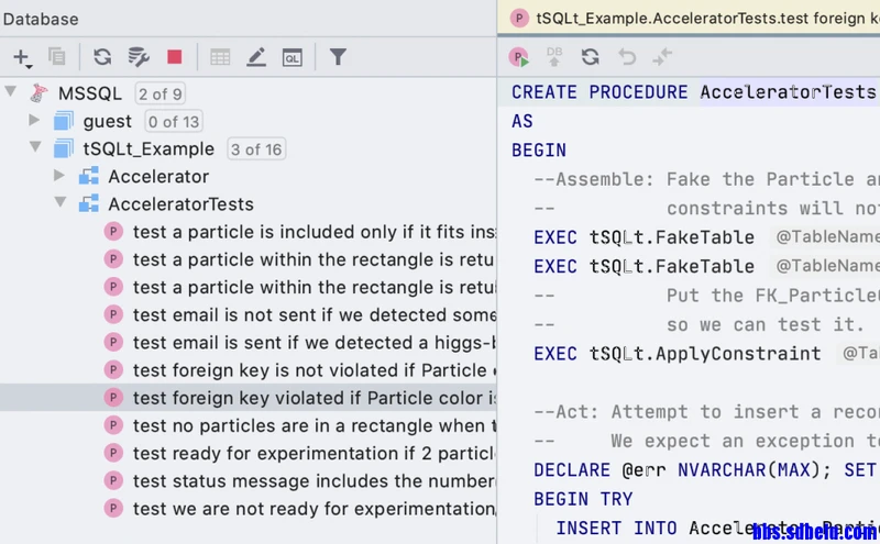 JetBrains DataGrip 2020.3.1汉化版 授权激活教程 - 图14