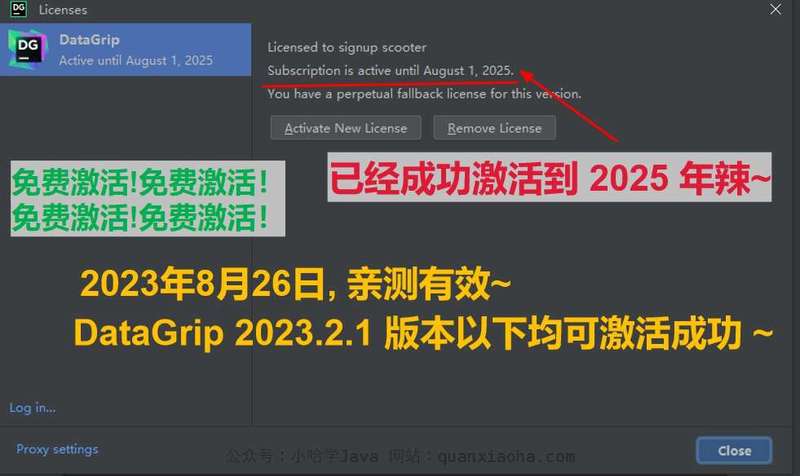 Datagrip 2023.2 版本启动界面