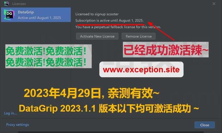 Datagrip 2023.1.1 版本启动界面