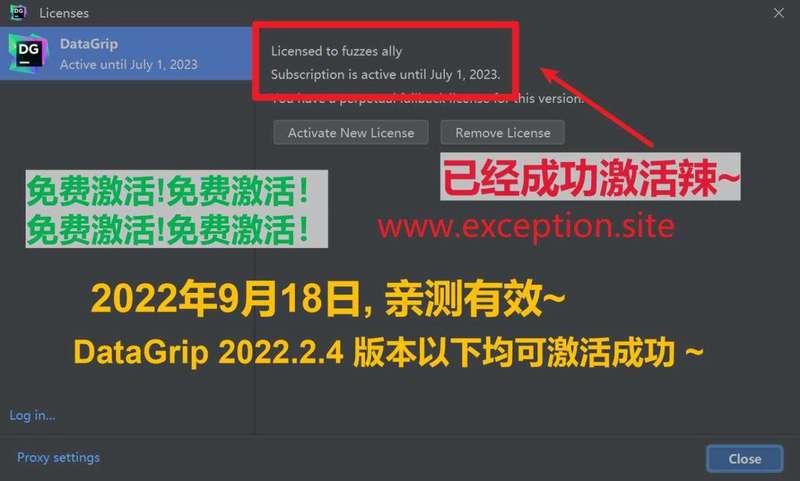 Datagrip 2022.2.4 版本启动界面