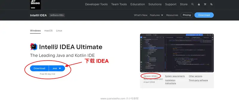 下载 IDEA 2024.1 安装包