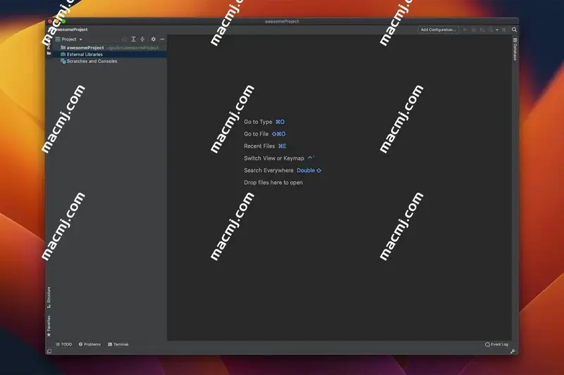 JetBrains GoLand v2023.1.2-GO语言集成开发工具环境插图1