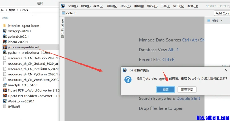 JetBrains DataGrip 2020.3.1汉化版 授权激活教程 - 图5