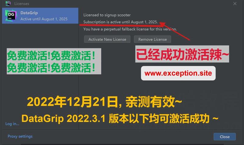 Datagrip 2022.3.1 版本启动界面 Datagrip 2022.3.1 版本启动界面
