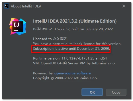 IntelliJ IDEA 2021.3.2最新激活教程可激活至2099年-下一朵云