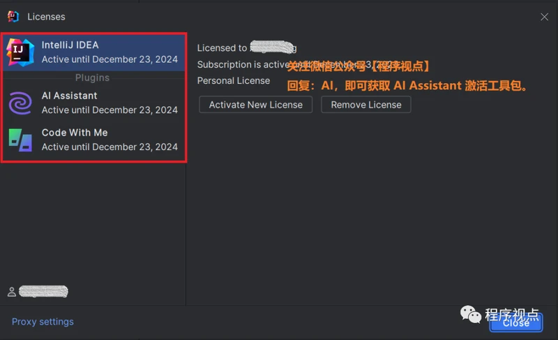 AI Assistant 激活码