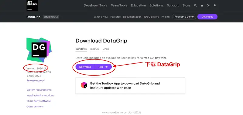 Datagrip 2024.1.1版本官网下载