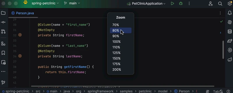 用于缩小整个 IDE 的选项