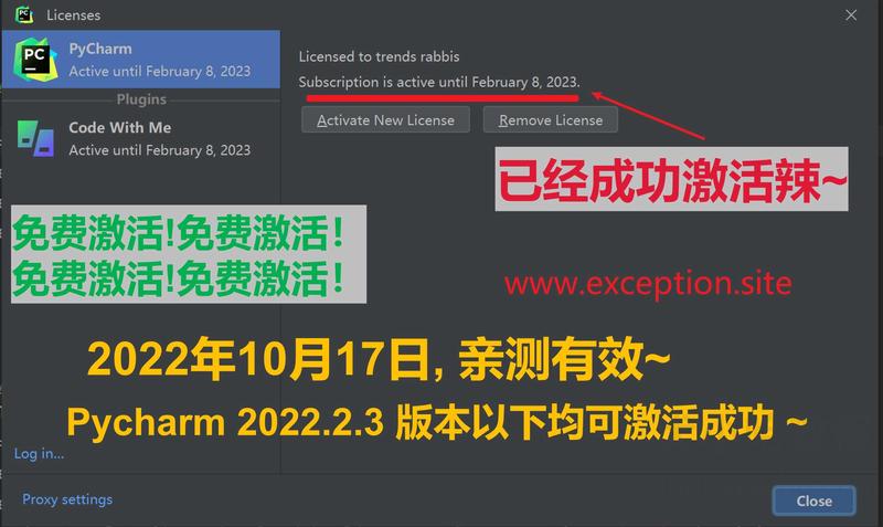 Pycharm 2022.2.3 成功激活至9999年截图