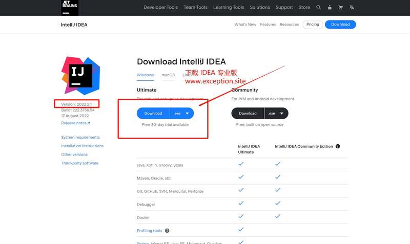 IDEA 2022.2.1版本官网下载