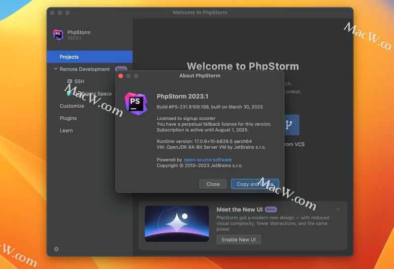 JetBrains PhpStorm 2023 (PHP集成开发)PhpStorm中文设置