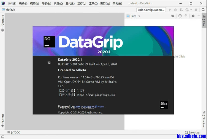 JetBrains DataGrip 2020.3.1汉化版 授权激活教程 - 图7