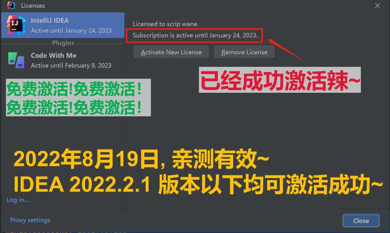 IDEA 2022.2.1 成功激活至2099年截图