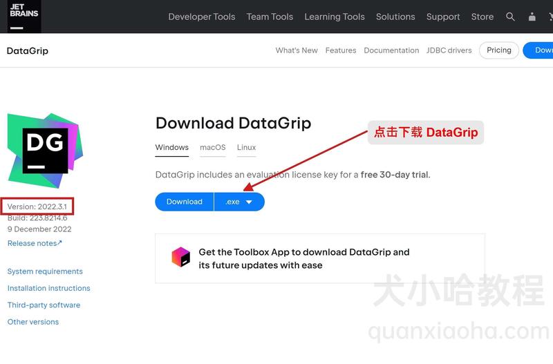 Datagrip 2022.3.1版本官网下载 Datagrip 2022.3.1版本官网下载
