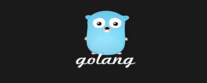 golang结构体怎么判断是否为空-Golang