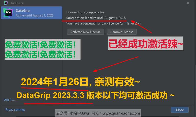 Datagrip 2023.3.3 版本启动界面