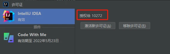 IntelliJ IDEA 2022.1永久破解激活教程（最新版，亲测可用）