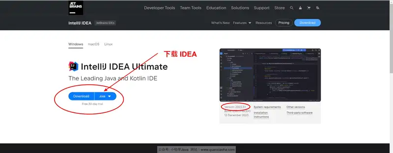 下载 IDEA 2023.3.1 安装包