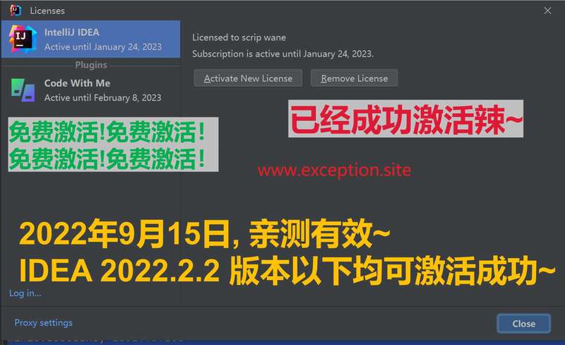 IDEA 2022.2.2 成功激活至2099年截图