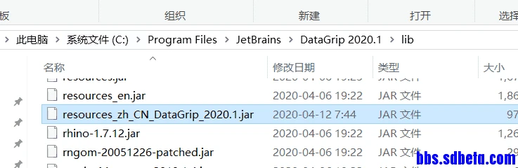 JetBrains DataGrip 2020.3.1汉化版 授权激活教程 - 图8