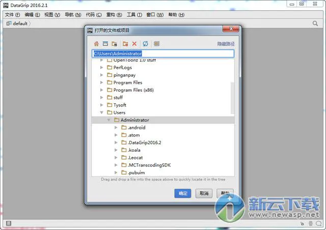 DataGrip 2016 2.1 汉化版 含激活码 DataGrip 2016 2.1 汉化版 含激活码