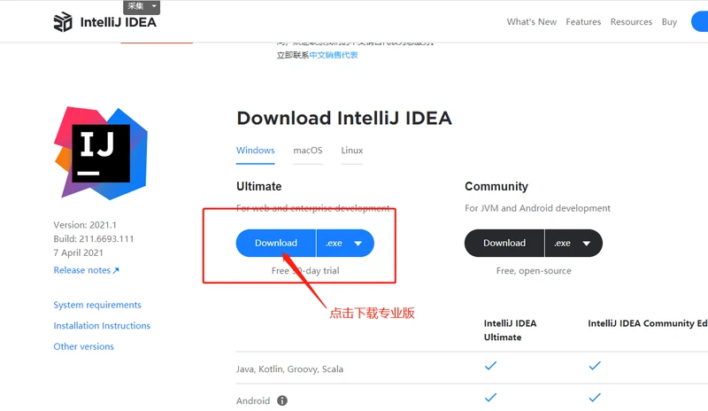 IDEA 2021.1版本官网下载