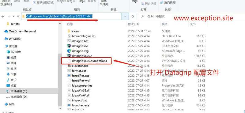 进入 Datagrip 2022.2.4 安装目录
