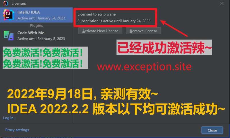 Webstorm 2022.2.2 成功激活至2099年截图