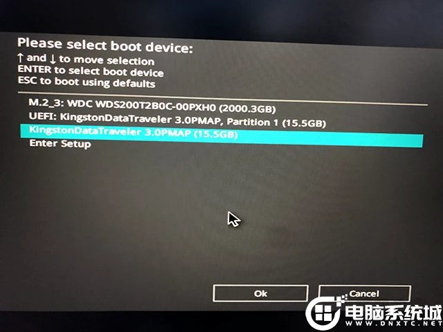 选择u盘启动